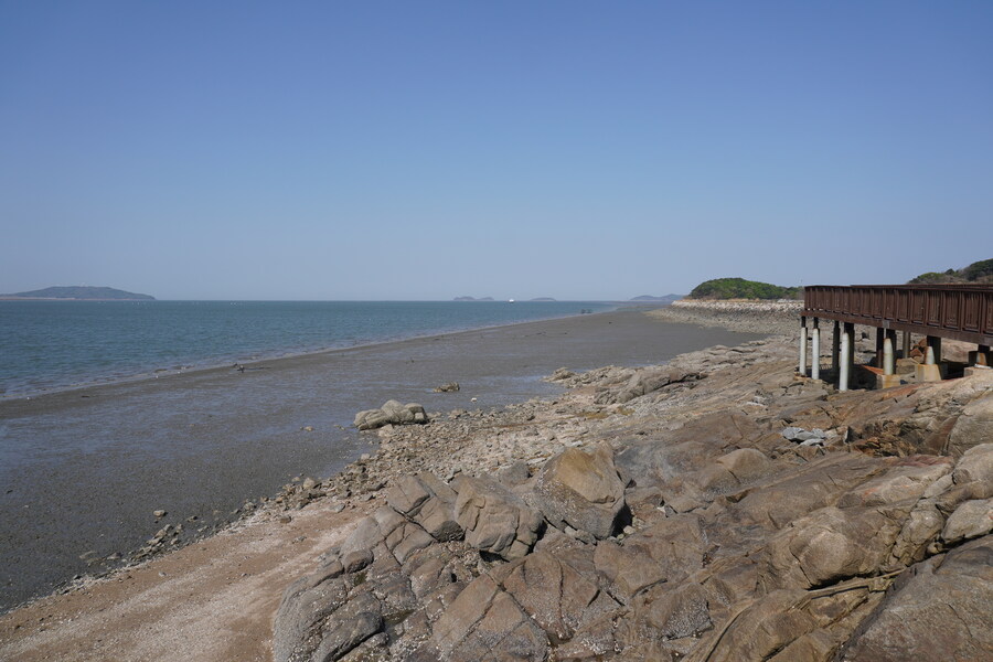 4월, 신도 및 시도 탐조_23.jpg