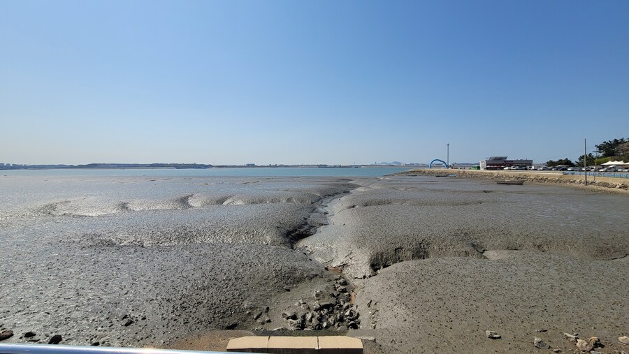 4월, 신도 및 시도 탐조_37.jpg