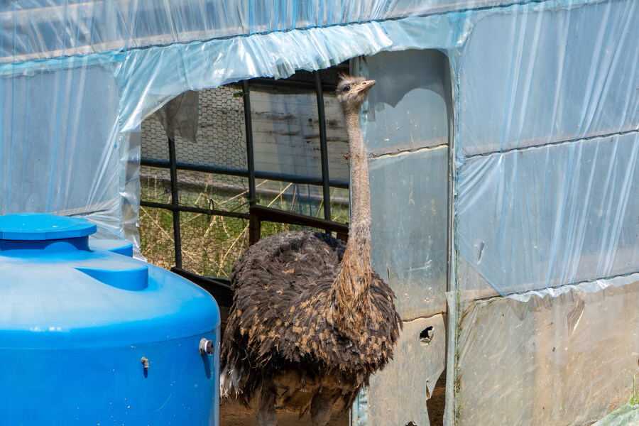 4월, 신도 및 시도 탐조_40.jpg