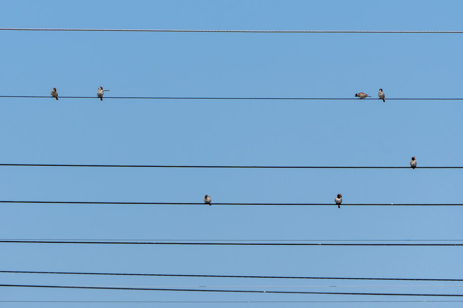 4월, 신도 및 시도 탐조_59.jpg