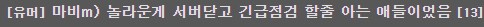 마비m) 하룻동안 나온 마비m 이슈들_5.png