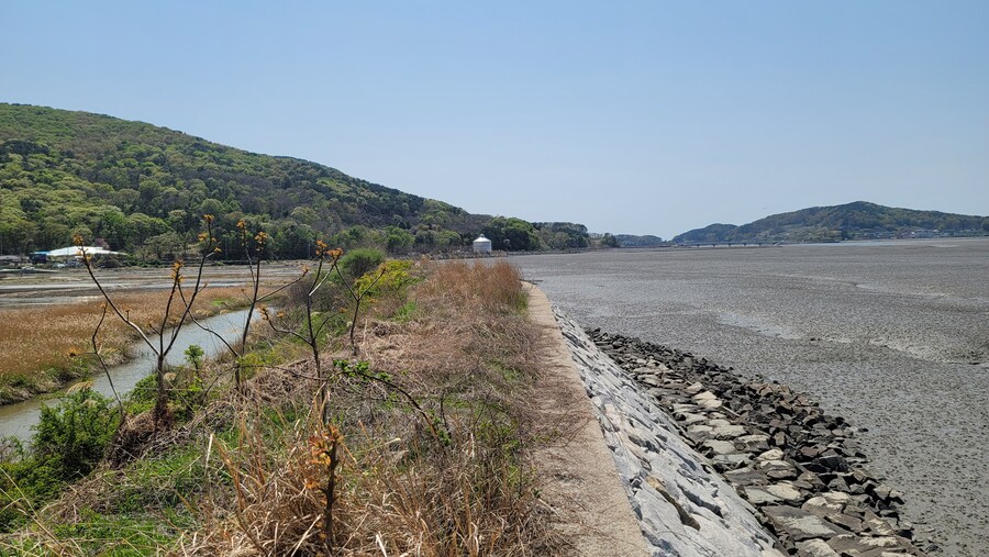 4월, 신도 및 시도 탐조_75.jpg