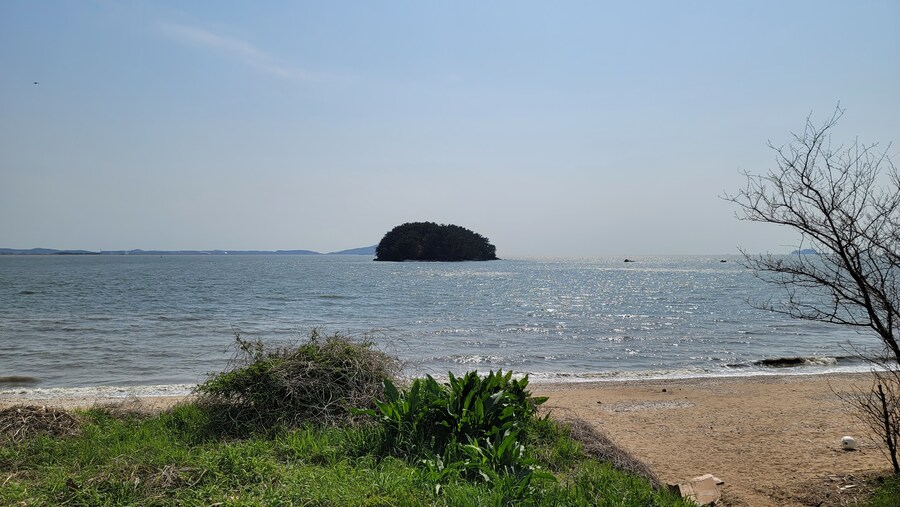 4월, 신도 및 시도 탐조_79.jpg