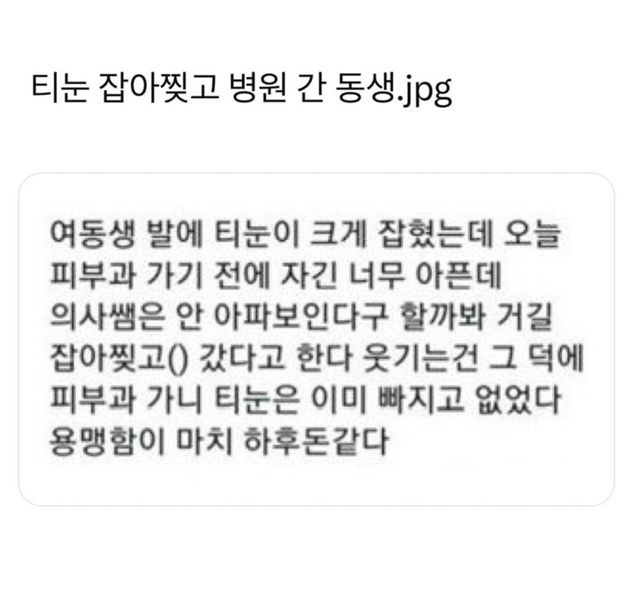 용맹한 여동생_1.jpg