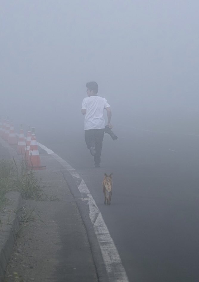 자욱한 안개 속, 맹수를 피해 도망치는 남자🌫️_1.jpg