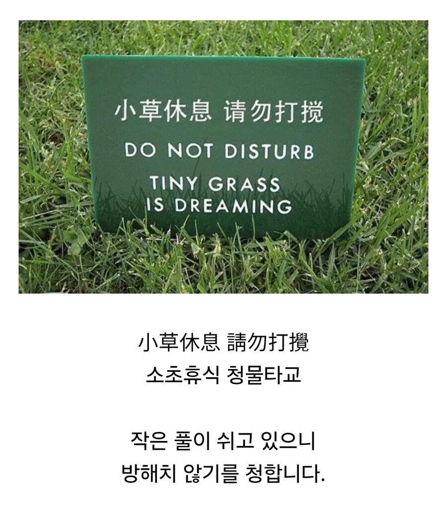 운치넘치는 중국의 잔디보호 표지판_1.jpg