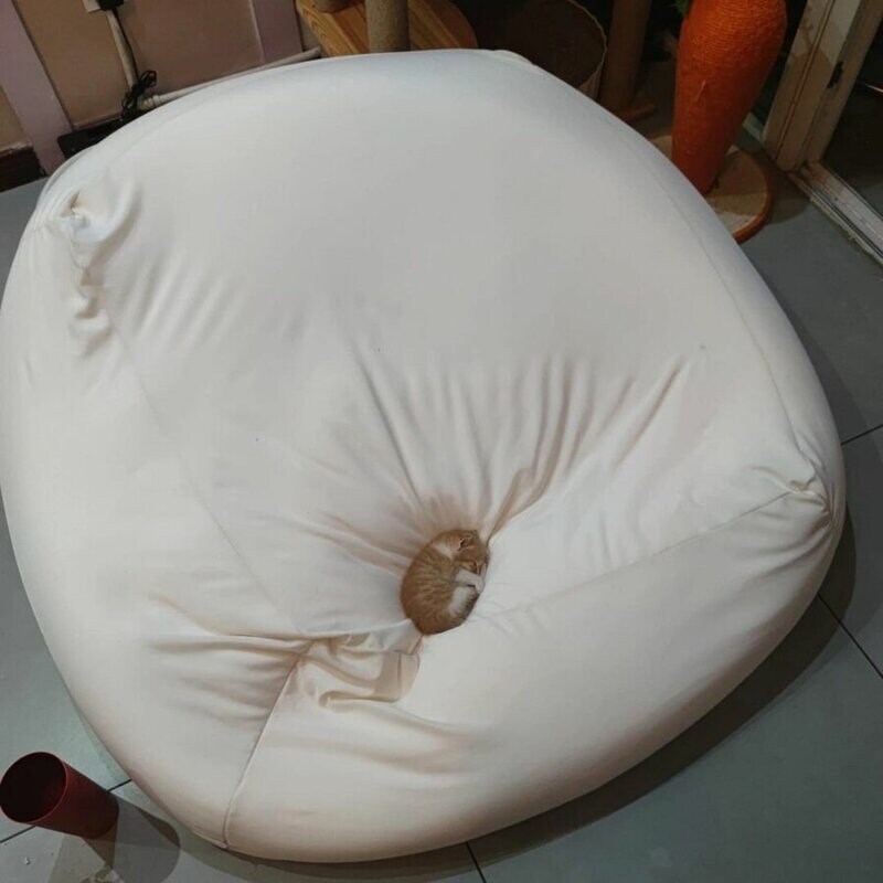 침대를 좀 큰 걸로 샀나_2.jpg