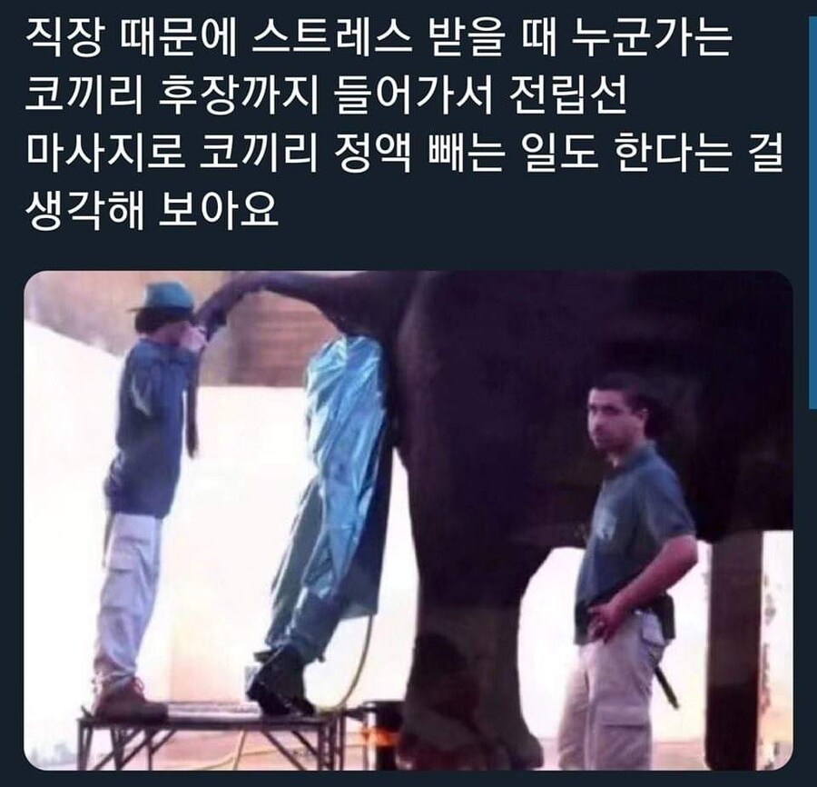 직장 스트레스.jpg_1.jpg