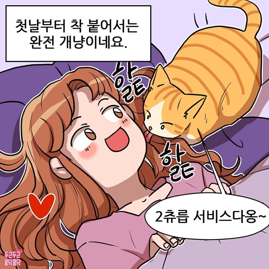 여친이 길냥이 주워서 키우는만화_3.jpg