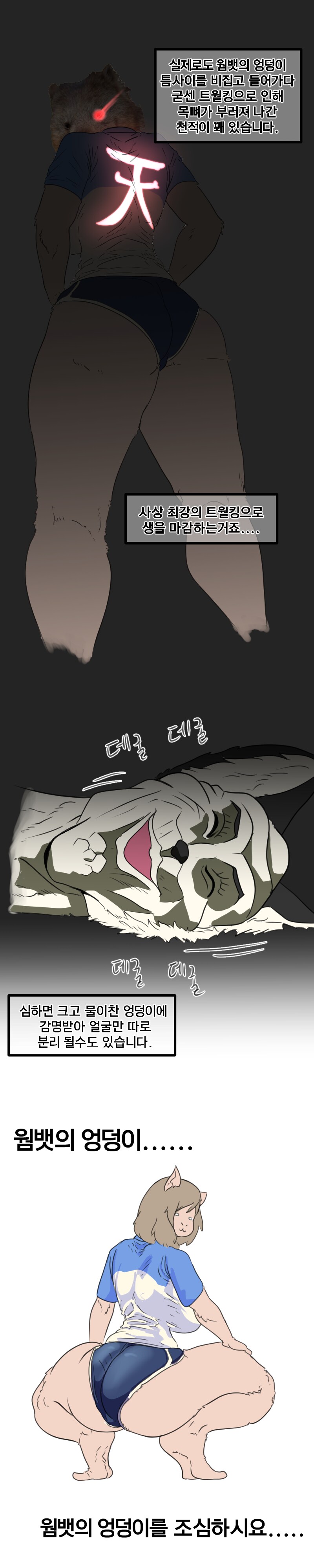 (재업,후방)웜뱃 생태 보고 망가_5.png