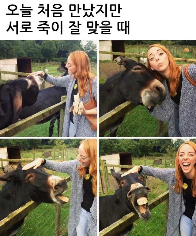 처음 만난 날.jpg_1.jpg