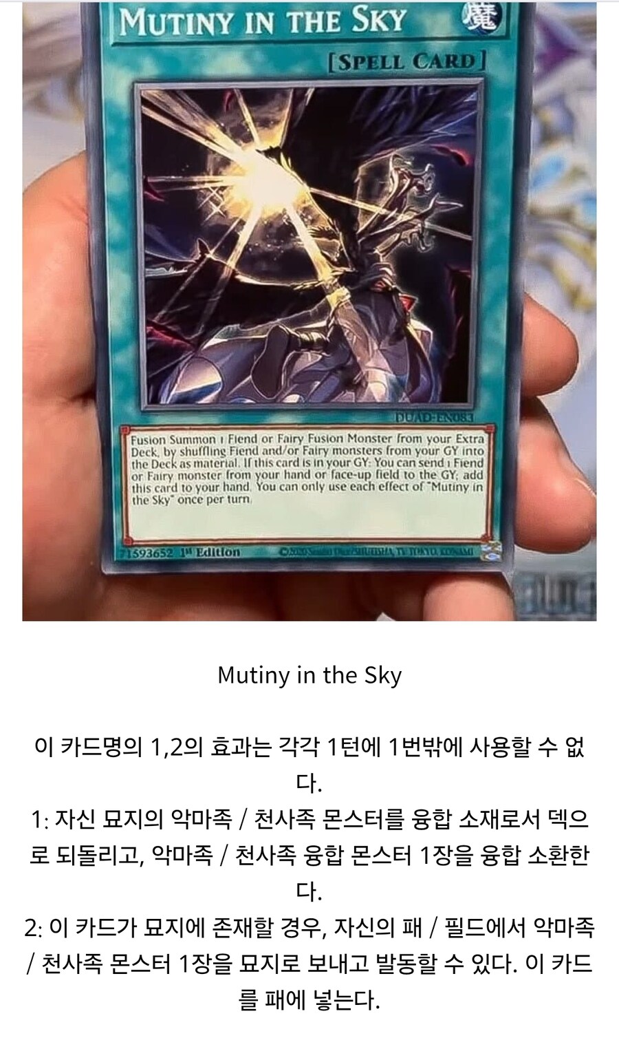 타락천사는 울고싶다_2.jpg