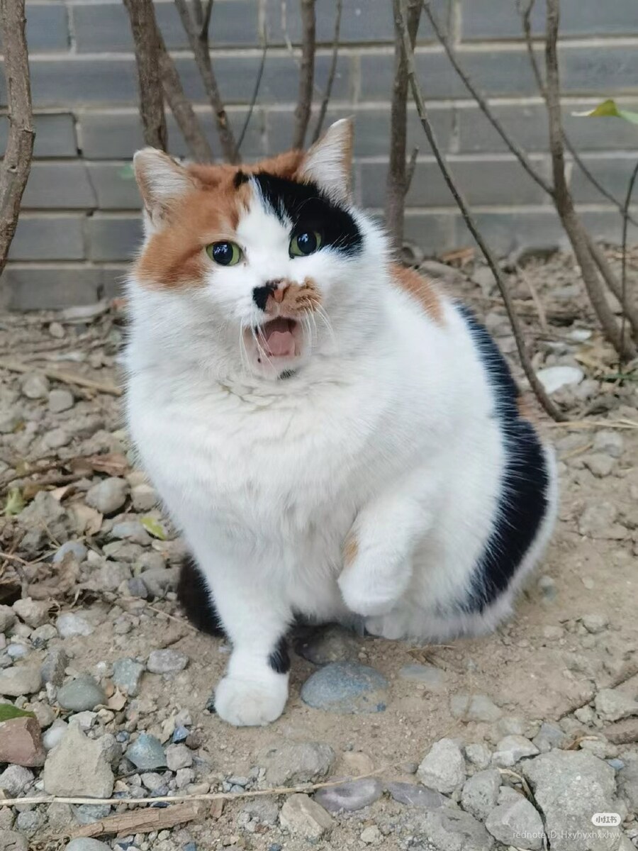 유게이 왜 화장을 안했지?_1.jpg