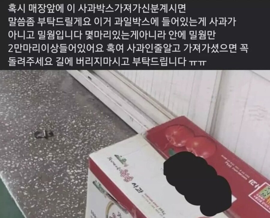 사과박스 가져가신분 돌려주세요.jpg_1.jpg