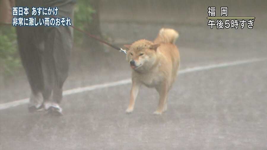 루리야! 왜 너 일 안해?_1.jpg