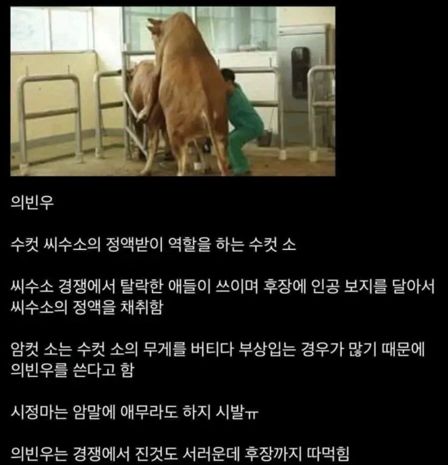 패배한 수컷의 말로..._1.jpg