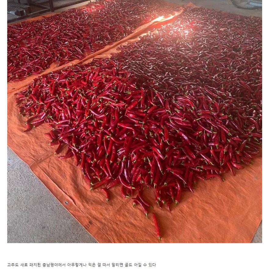 마비M] 이번에 터졌다는 데카복사 버그 경위.jpg_3.png