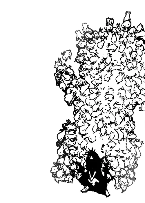 메이플 근황_2.webp