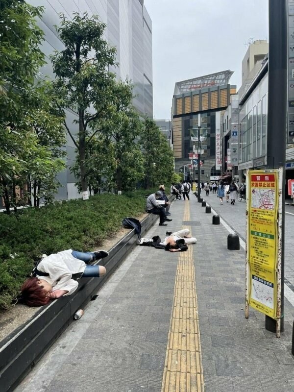 일본 최대 유흥가.jpg_5.jpg