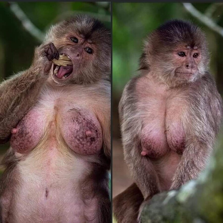 글삭하지마 렉카 시팔련아_1.jpg