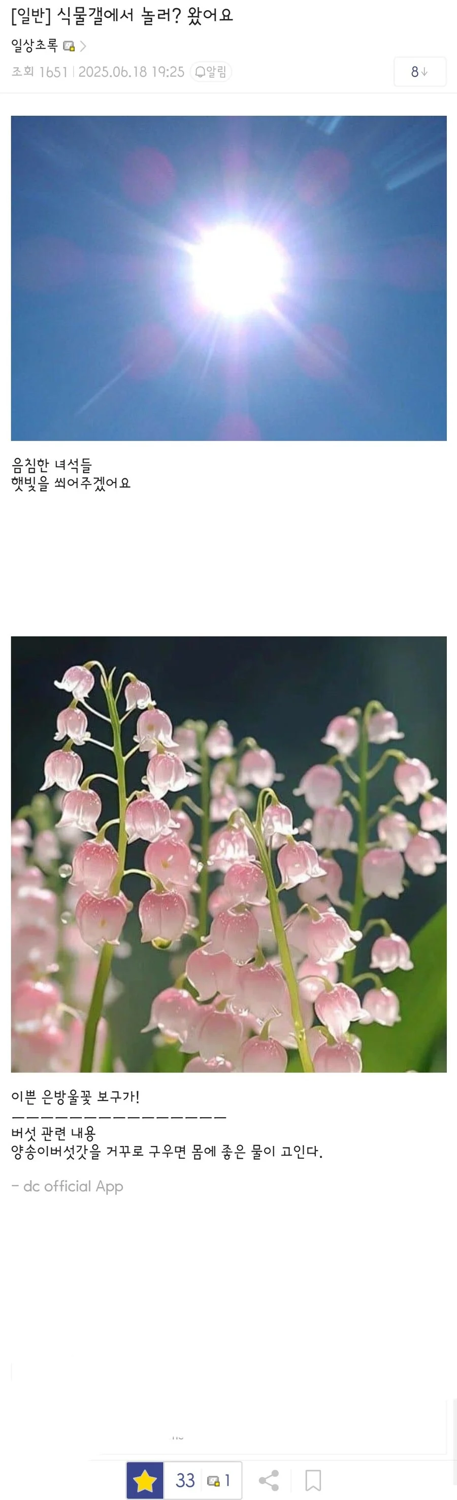 버섯갤을 침공하는 사악한 햇빛쨍쨍단들_1.webp