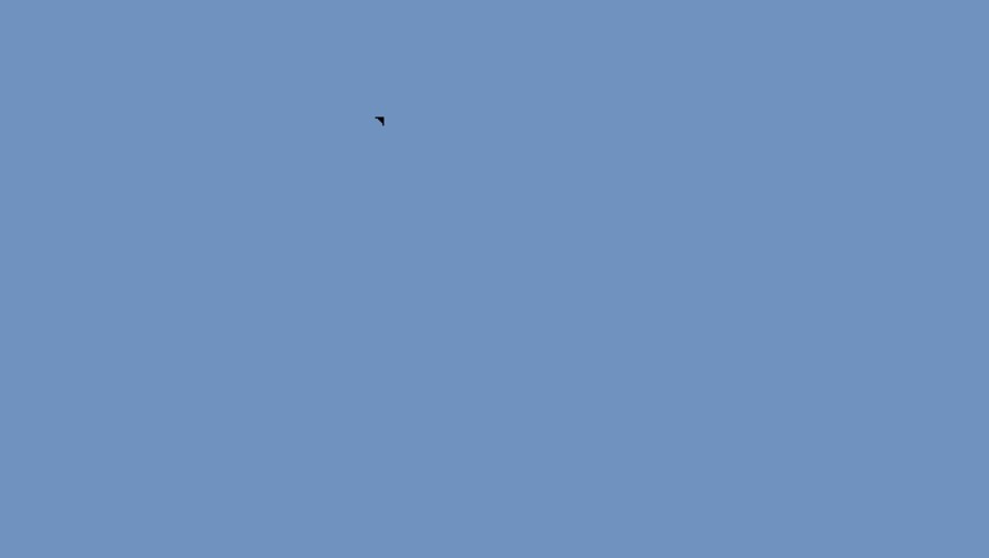 B-2 스텔스 전투기 그려 봄_1.png
