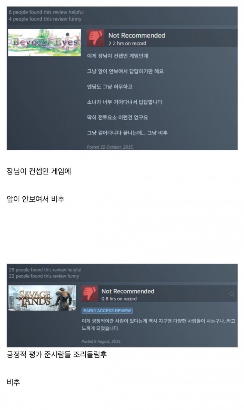 스팀 게임평가 모음집_6.jpg