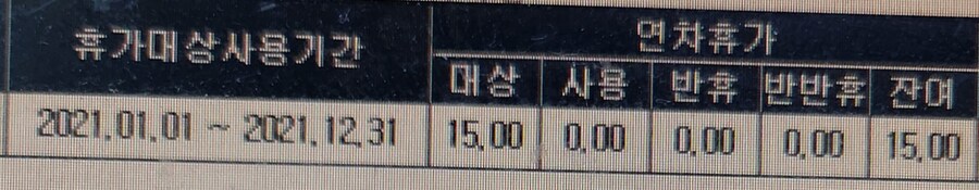 평범한 k-직장인의 연차 사용일수_1.jpg