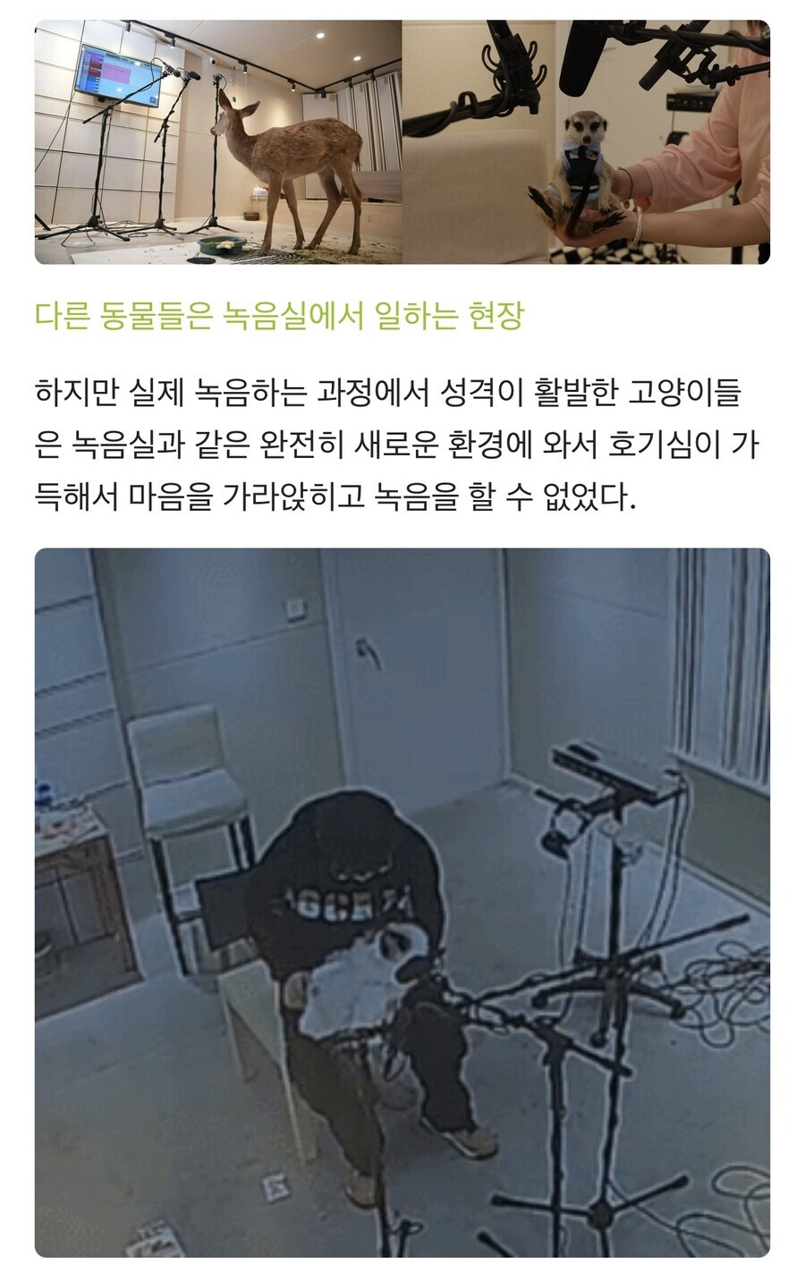 게임 커뮤에서 성우 사진이랑 성떡 달렸는데 칭찬받은 사람.jpg_3.jpg