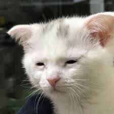 ㅇㅇㄱ 깐다고 내 인생을 너무 소홀히 하며 살았다._1.jpg