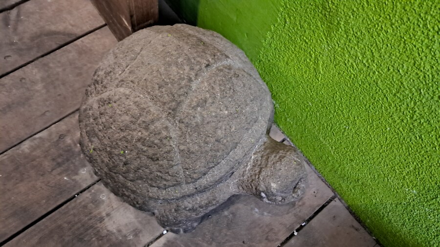 2025년 라멘 탐방기(상반기)(스압)_129.jpg