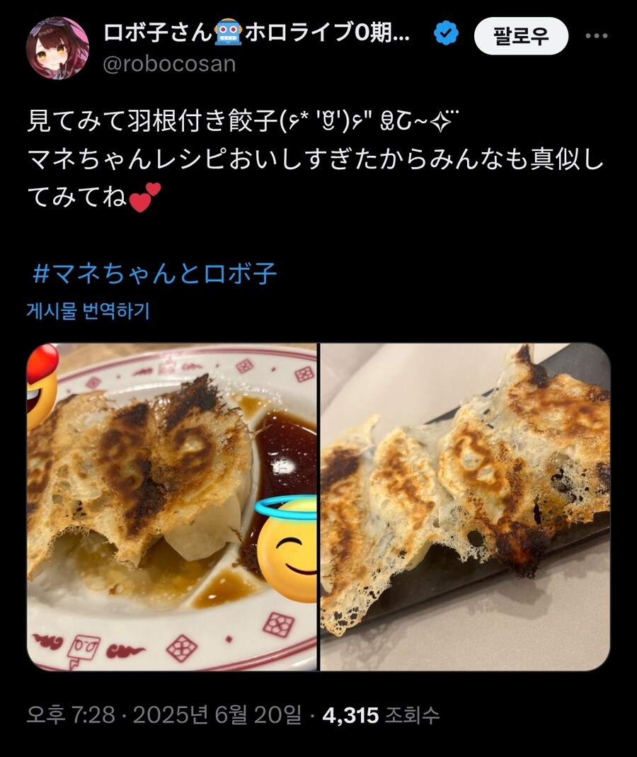 버튜버)뒤틀린 황천의 군만두 by로보코_1.jpg
