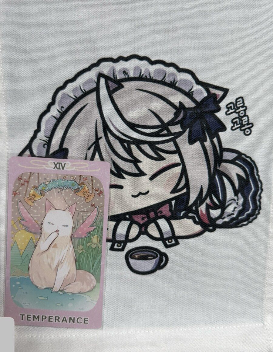 얼치기가 데킬냐를 생각하며 타로를 한 장 뽑아보았어요_1.jpg