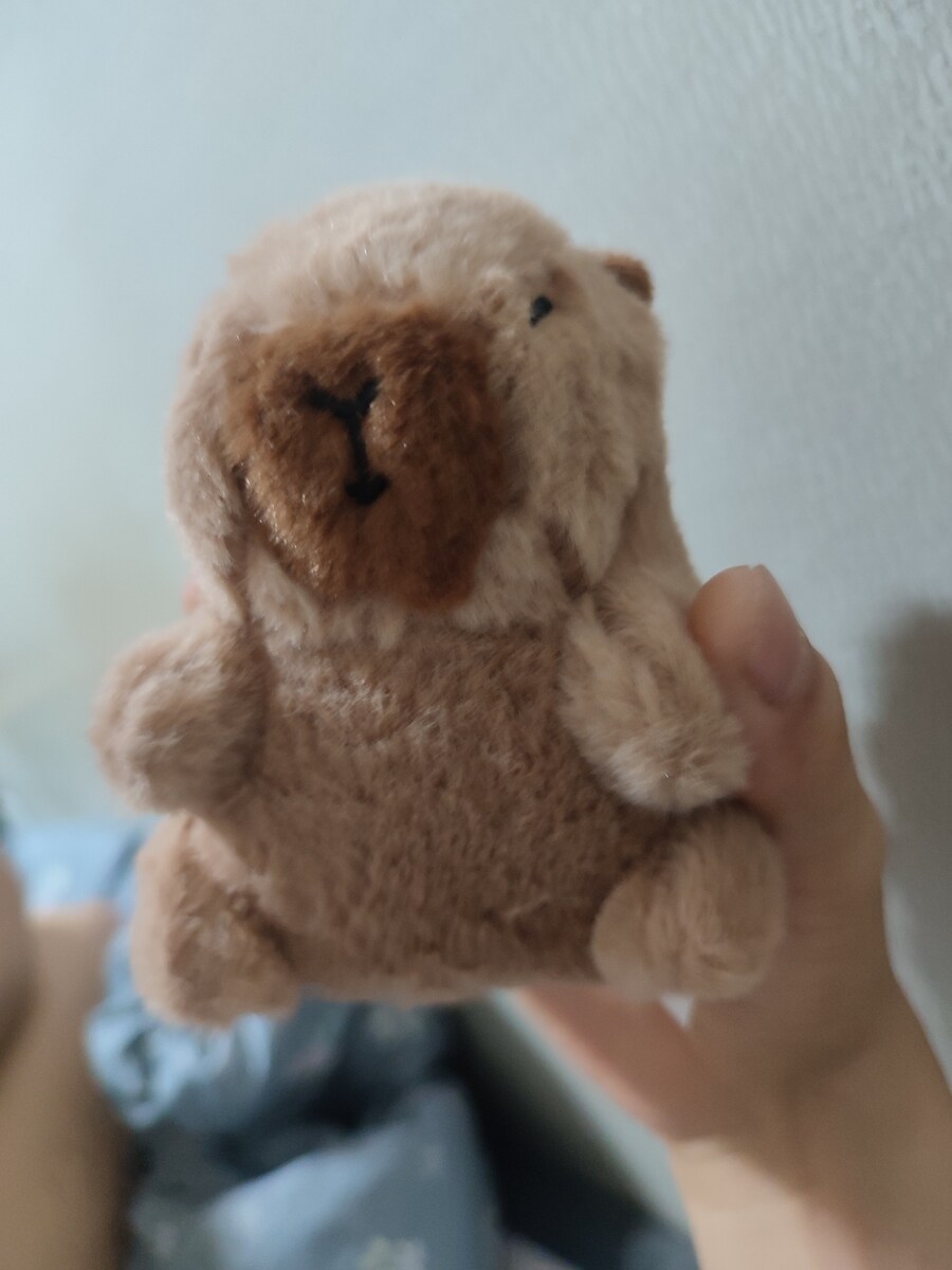 얼마전에 산 다이소 카피바라 인형 귀엽네_2.jpg