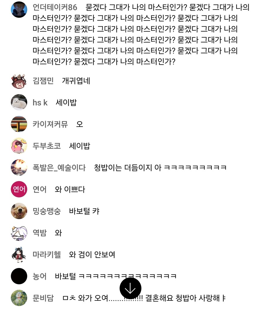 스타레일) 근데 궁금한데 공방 당시 채팅에 성우욕이 어디 있었음?_1.jpg