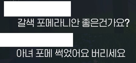 마비m)기만의 정석_1.png