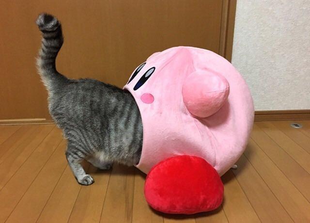 자고 일어낫더니 사장한테서 문자옴_1.jpg