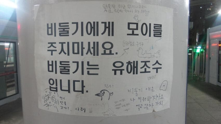 비둘기에게 모이를 주지마세요. 비둘기는 유해조수 입니다._1.jpg