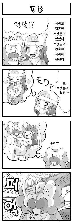 포켓몬) 포켓몬과 인간은 결혼한적이 있다_3.jpg