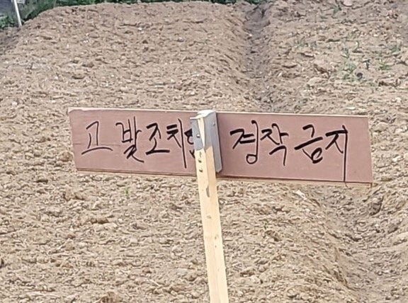 내 땅에 남이 무단으로 농사를 지으면 무조건 막아야 하는 이유 ㄷㄷ.jpg_1.jpg