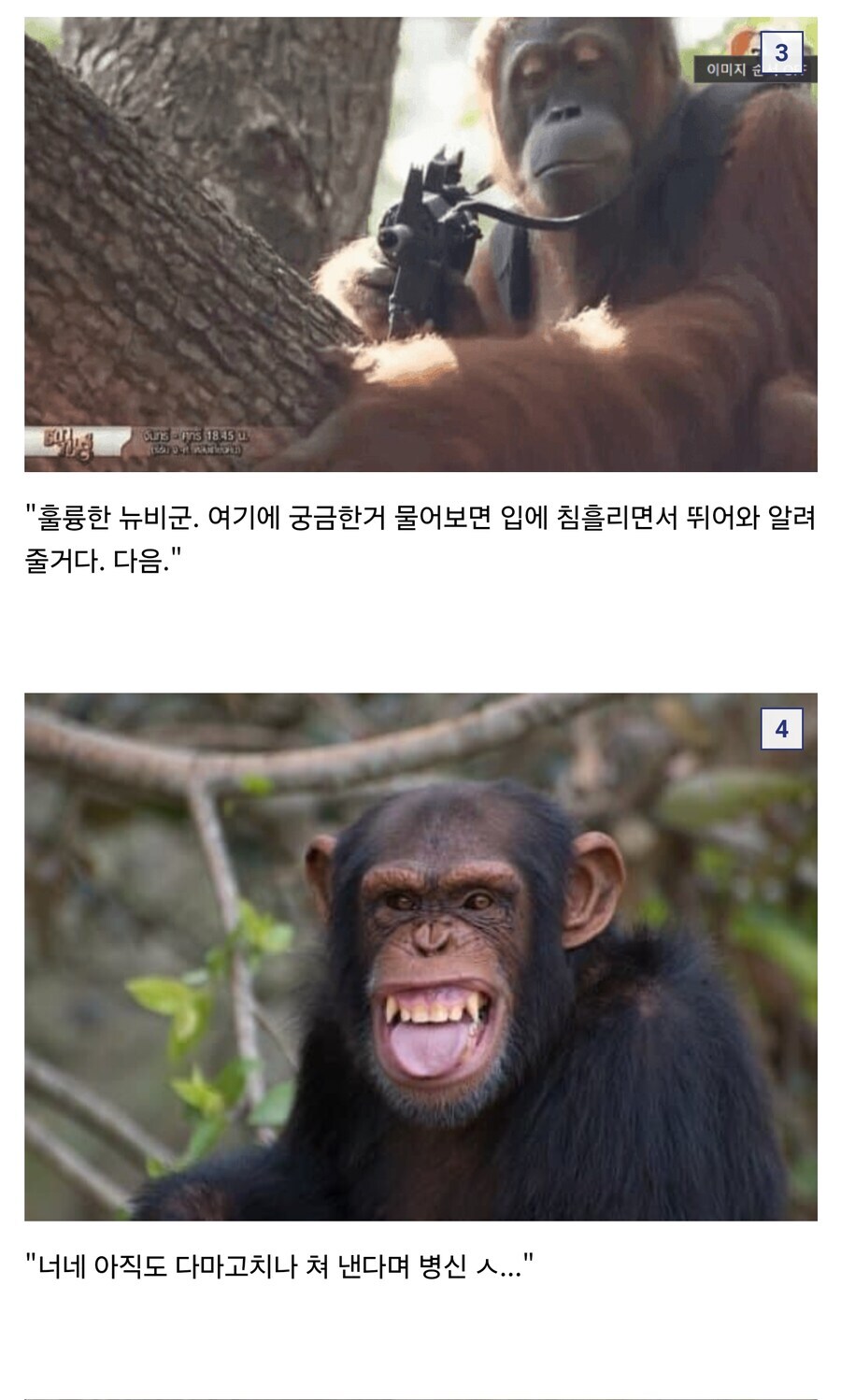 정지. 정지. 움직이면 쏜다._2.jpg