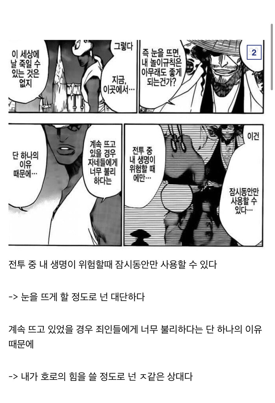 블리치 릴제 호로설이 정설로 취급되는 이유_2.jpg