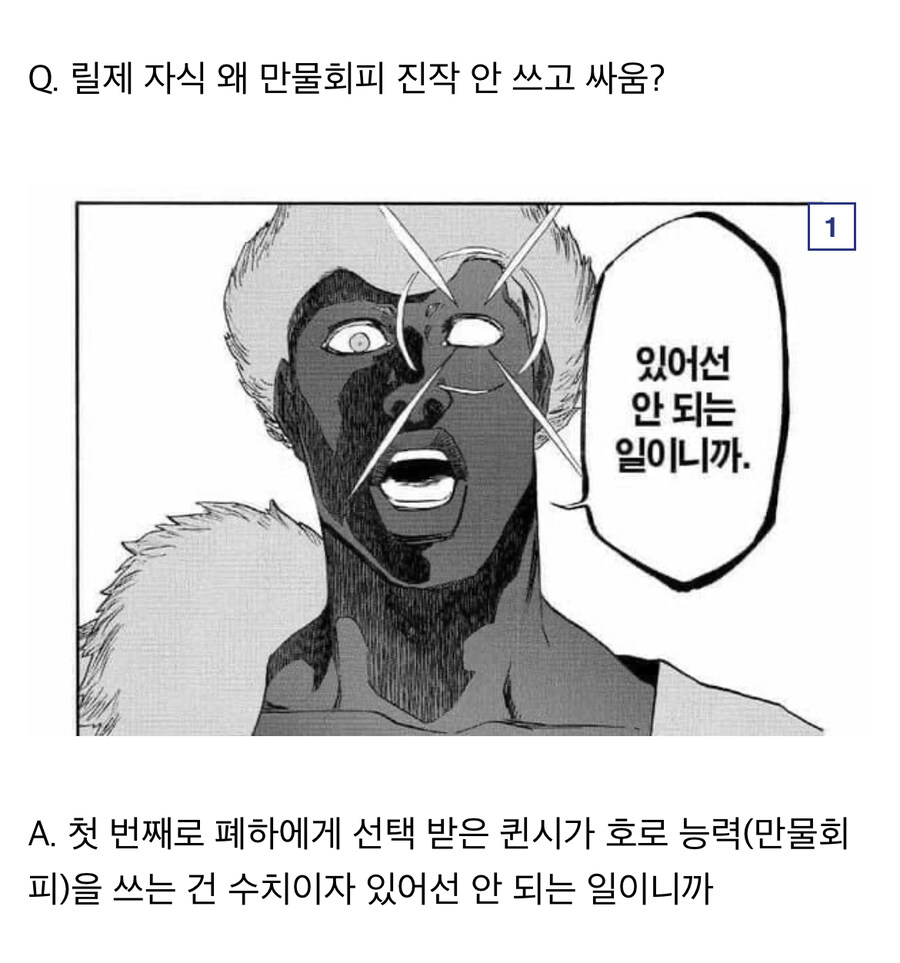블리치 릴제 호로설이 정설로 취급되는 이유_6.jpg