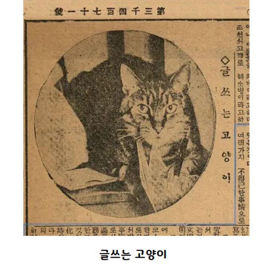 조상님들의 고양이 사랑_3.jpg