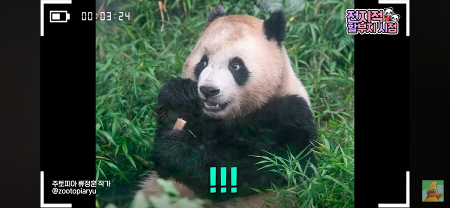 훍곰_2.png