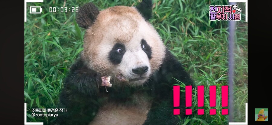훍곰_3.png