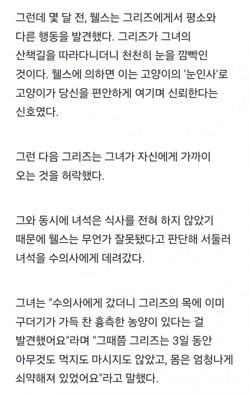 죽기 전 손길 허락한 길고양이.jpg_4.jpg