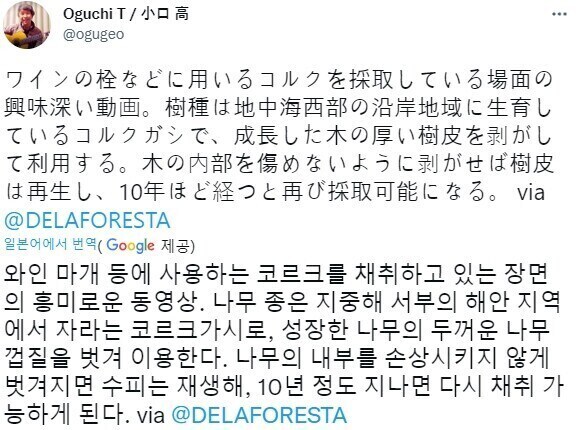 와인 마개 등을 만드는 코르크나무 껍질 벗겨내는.jpgif_1.jpg