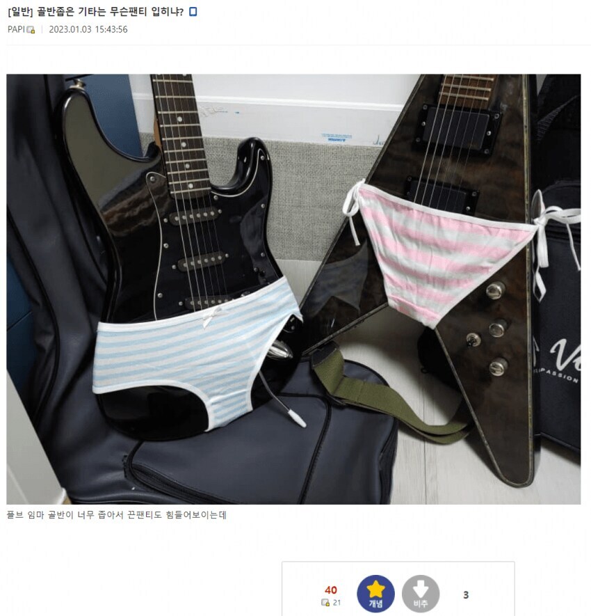 골반 좁은 기타는 무슨 팬티 입히냐?_1.jpg