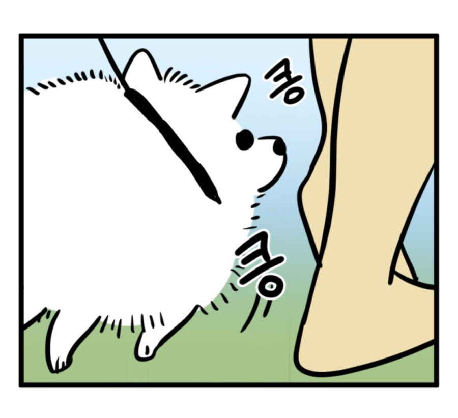 강아지 산책할 때 만나는 사람들 특징_1.jpg